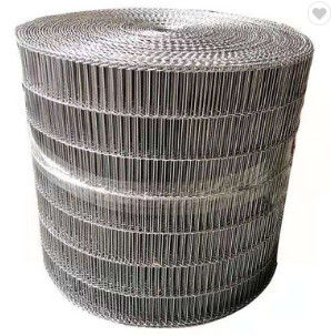 qualidade  Customized Metal Wire Stainless Steel Mesh Belt Conveyor Chain Fábrica