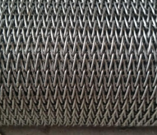 Planície dos SS 304 para tecer o fio Mesh Flat Wire Mesh Belt para a máquina seca da repreensão das porcas