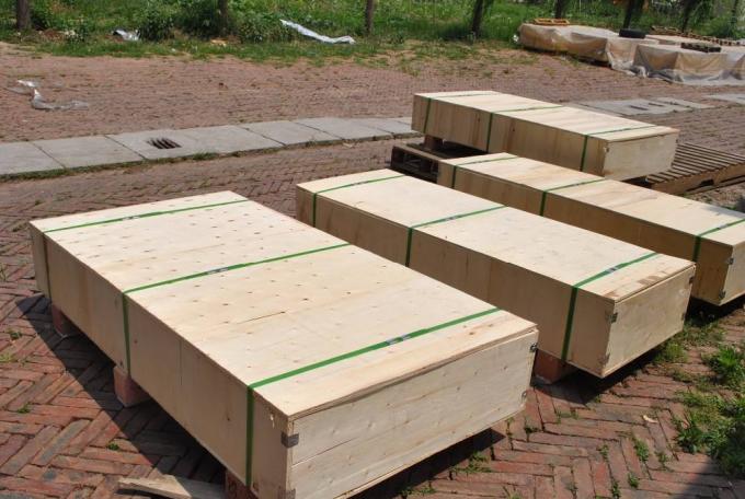 Corrente personalizada da correia transportadora do chocolate do fruto da resistência de corrosão conduzida 7