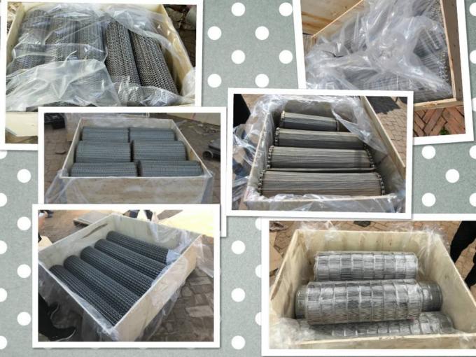 Fabricação Conveyable de aço inoxidável Mesh Wire da correia transportadora de SUS316L 6